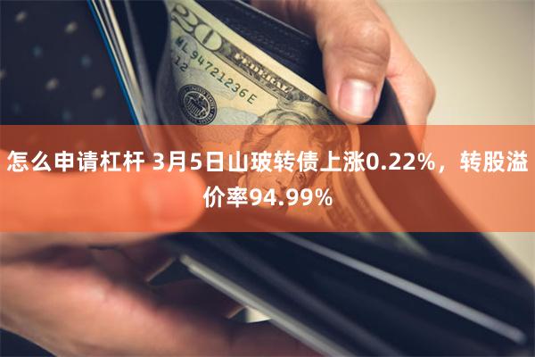 怎么申请杠杆 3月5日山玻转债上涨0.22%，转股溢价率94.99%