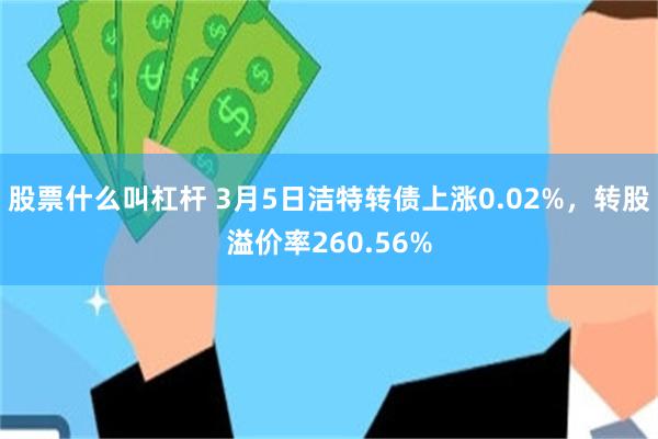 股票什么叫杠杆 3月5日洁特转债上涨0.02%，转股溢价率260.56%