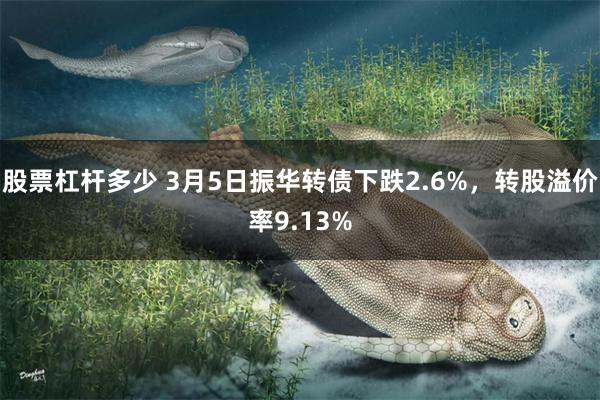 股票杠杆多少 3月5日振华转债下跌2.6%，转股溢价率9.13%