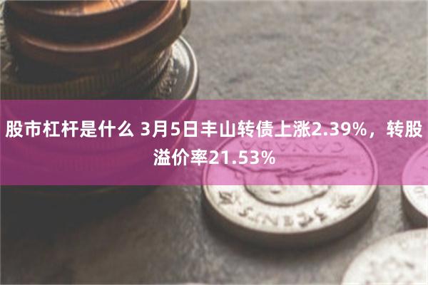 股市杠杆是什么 3月5日丰山转债上涨2.39%，转股溢价率21.53%