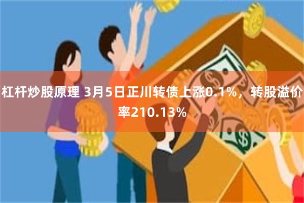 杠杆炒股原理 3月5日正川转债上涨0.1%，转股溢价率210.13%