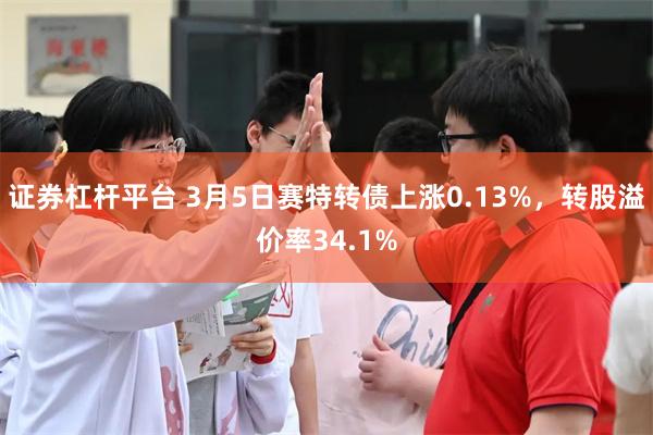 证券杠杆平台 3月5日赛特转债上涨0.13%，转股溢价率34.1%
