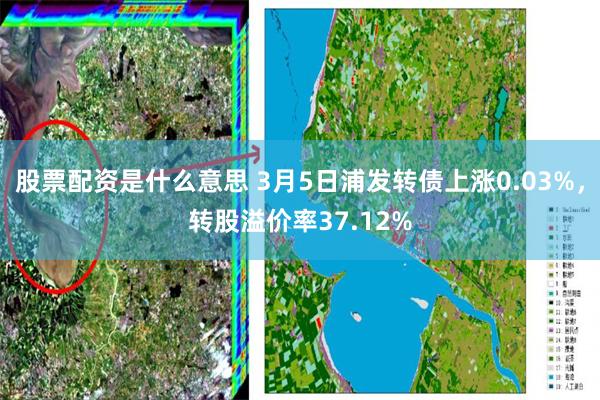 股票配资是什么意思 3月5日浦发转债上涨0.03%，转股溢价率37.12%