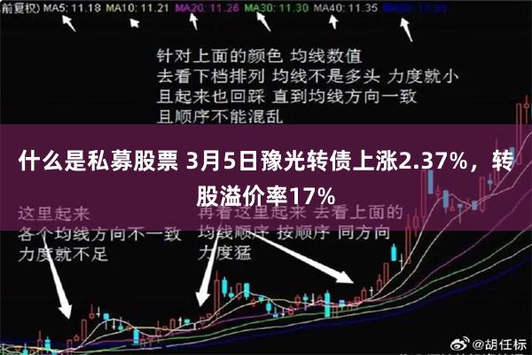 什么是私募股票 3月5日豫光转债上涨2.37%，转股溢价率17%
