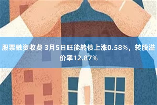 股票融资收费 3月5日旺能转债上涨0.58%，转股溢价率12.87%