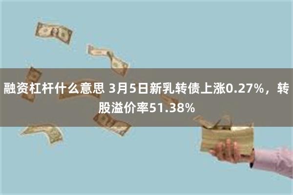 融资杠杆什么意思 3月5日新乳转债上涨0.27%，转股溢价率51.38%