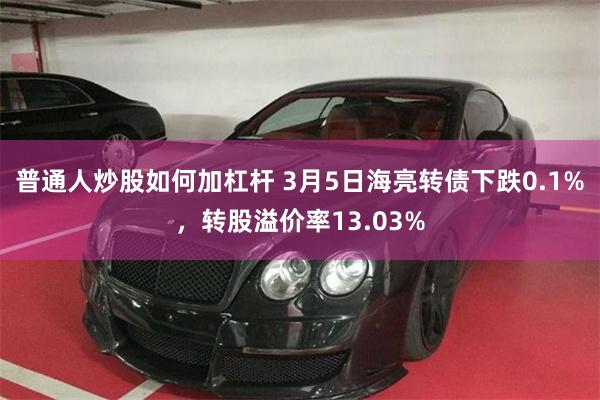 普通人炒股如何加杠杆 3月5日海亮转债下跌0.1%，转股溢价率13.03%