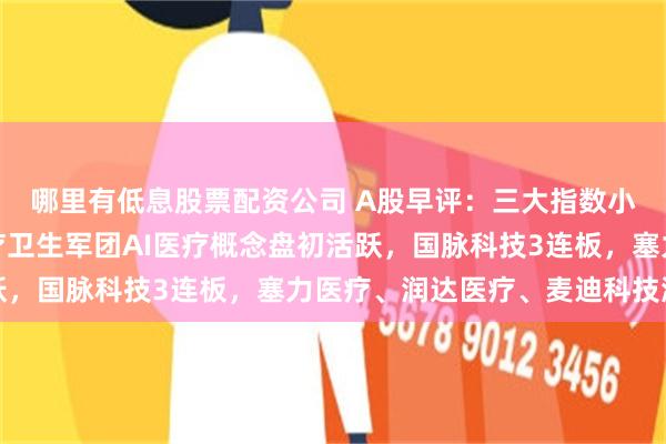 哪里有低息股票配资公司 A股早评：三大指数小幅高开，华为组建医疗卫生军团AI医疗概念盘初活跃，国脉科技3连板，塞力医疗、润达医疗、麦迪科技涨停