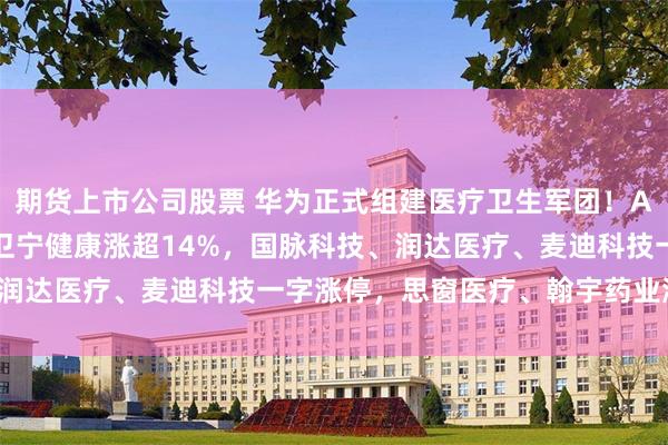 期货上市公司股票 华为正式组建医疗卫生军团！A股AI医疗概念股大涨，卫宁健康涨超14%，国脉科技、润达医疗、麦迪科技一字涨停，思窗医疗、翰宇药业涨超6%