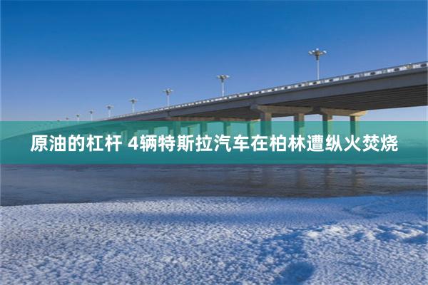 原油的杠杆 4辆特斯拉汽车在柏林遭纵火焚烧