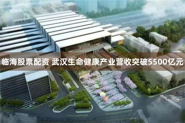 临海股票配资 武汉生命健康产业营收突破5500亿元