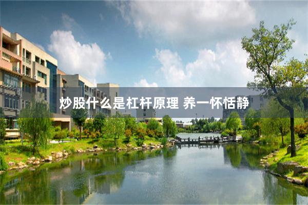 炒股什么是杠杆原理 养一怀恬静