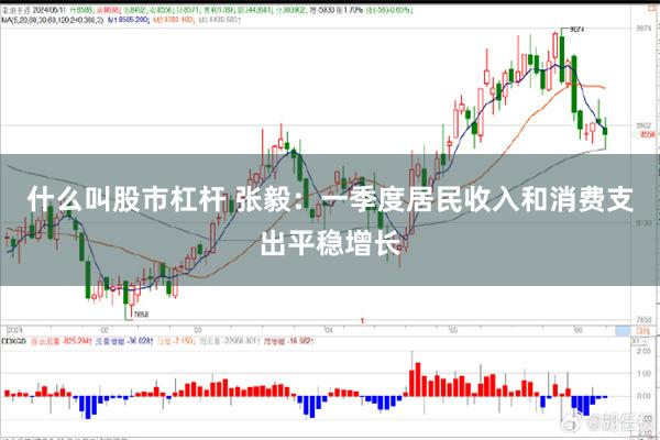 什么叫股市杠杆 张毅：一季度居民收入和消费支出平稳增长