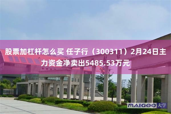 股票加杠杆怎么买 任子行（300311）2月24日主力资金净卖出5485.53万元