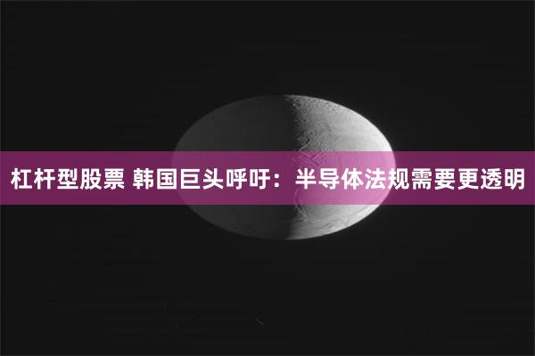 杠杆型股票 韩国巨头呼吁：半导体法规需要更透明