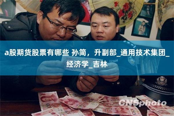 a股期货股票有哪些 孙简，升副部_通用技术集团_经济学_吉林