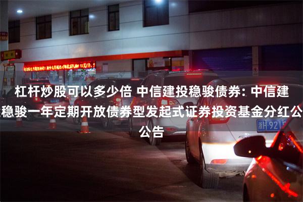 杠杆炒股可以多少倍 中信建投稳骏债券: 中信建投稳骏一年定期开放债券型发起式证券投资基金分红公告