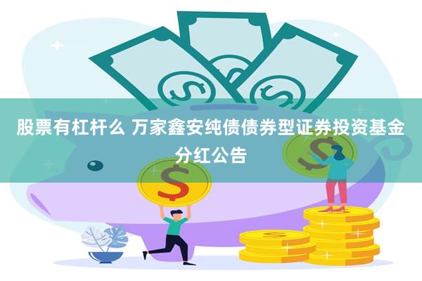 股票有杠杆么 万家鑫安纯债债券型证券投资基金分红公告