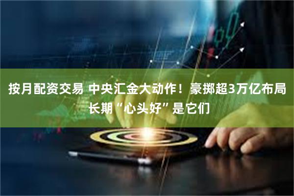 按月配资交易 中央汇金大动作！豪掷超3万亿布局 长期“心头好”是它们