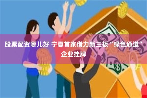 股票配资哪儿好 宁夏首家借力新三板“绿色通道”企业挂牌