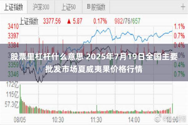 股票里杠杆什么意思 2025年7月19日全国主要批发市场夏威夷果价格行情