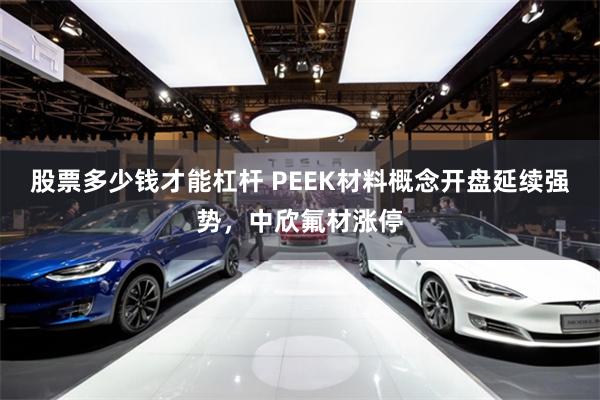 股票多少钱才能杠杆 PEEK材料概念开盘延续强势，中欣氟材涨停