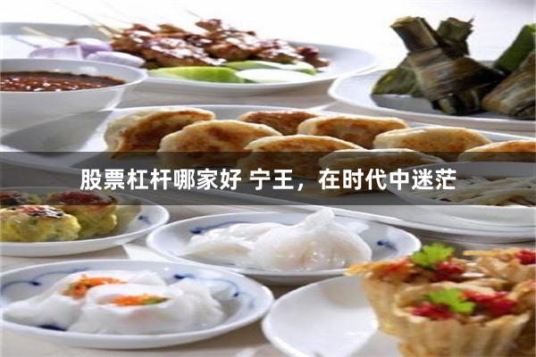 股票杠杆哪家好 宁王，在时代中迷茫