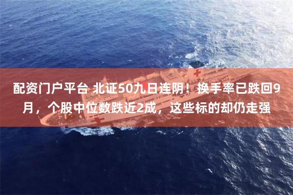 配资门户平台 北证50九日连阴!换手率已跌回9月,个股中位数跌近2成,这些标的却仍走强