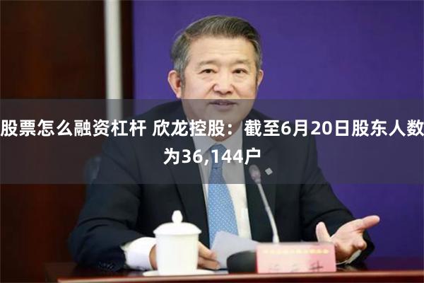 股票怎么融资杠杆 欣龙控股：截至6月20日股东人数为36,144户
