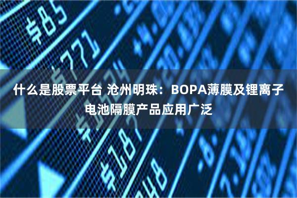 什么是股票平台 沧州明珠：BOPA薄膜及锂离子电池隔膜产品应用广泛