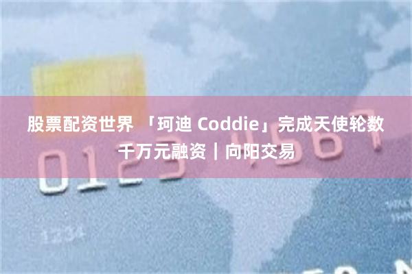股票配资世界 「珂迪 Coddie」完成天使轮数千万元融资｜向阳交易