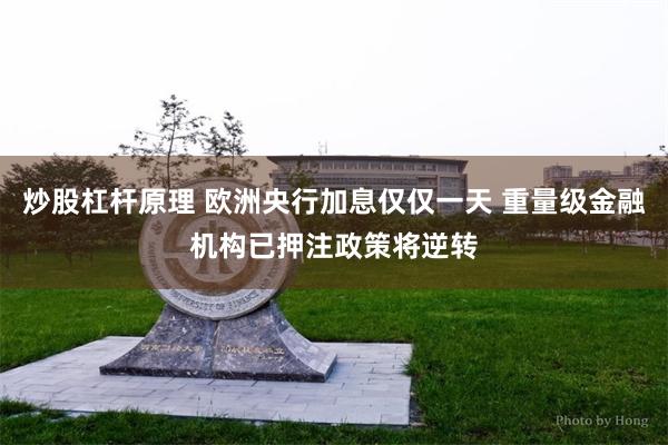 炒股杠杆原理 欧洲央行加息仅仅一天 重量级金融机构已押注政策将逆转