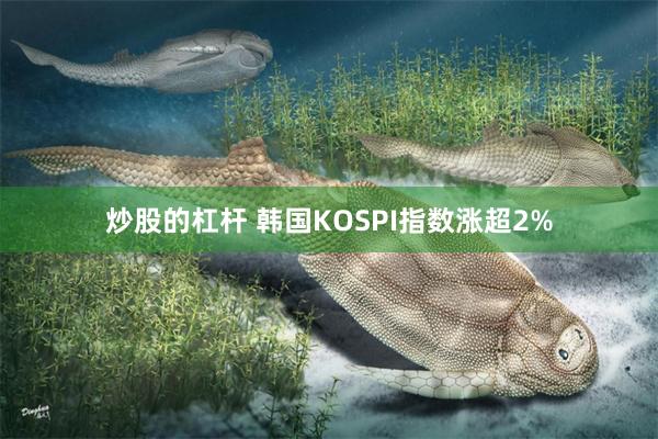炒股的杠杆 韩国KOSPI指数涨超2%