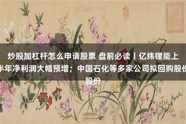 炒股加杠杆怎么申请股票 盘前必读丨亿纬锂能上半年净利润大幅预增；中国石化等多家公司拟回购股份