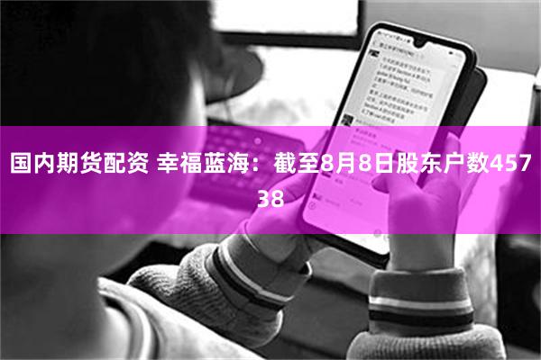 国内期货配资 幸福蓝海：截至8月8日股东户数45738