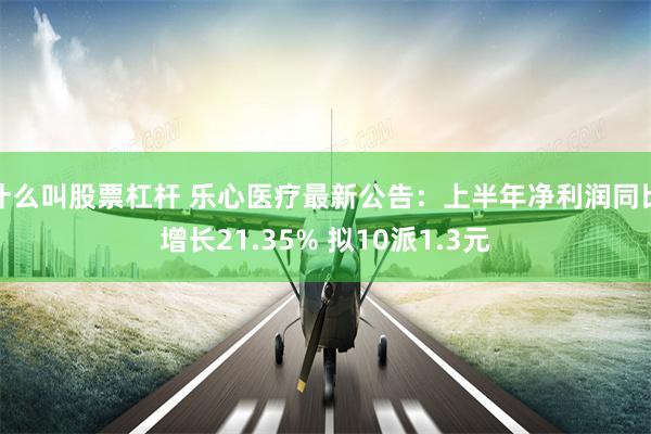 什么叫股票杠杆 乐心医疗最新公告：上半年净利润同比增长21.35% 拟10派1.3元