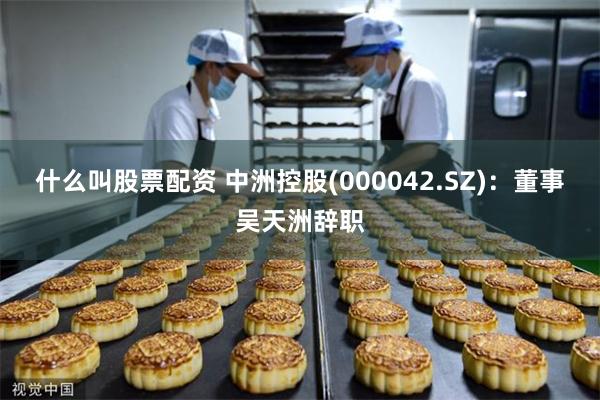 什么叫股票配资 中洲控股(000042.SZ)：董事吴天洲辞职