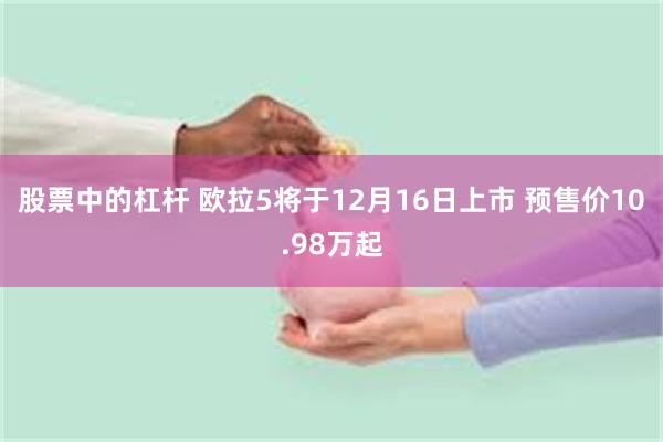 股票中的杠杆 欧拉5将于12月16日上市 预售价10.98万起