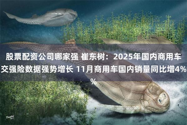 股票配资公司哪家强 崔东树：2025年国内商用车交强险数据强势增长 11月商用车国内销量同比增4%