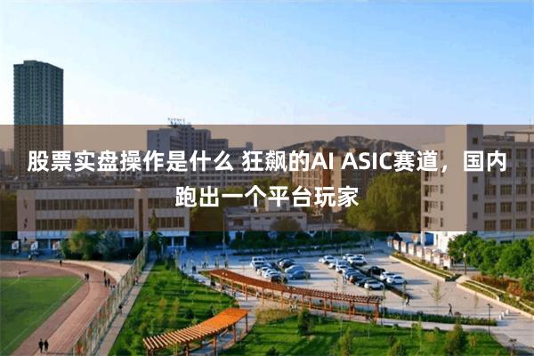 股票实盘操作是什么 狂飙的AI ASIC赛道，国内跑出一个平台玩家