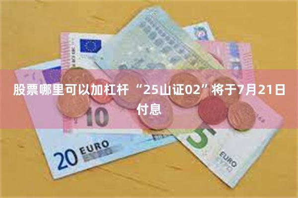 股票哪里可以加杠杆 “25山证02”将于7月21日付息