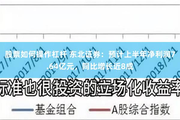 股票如何操作杠杆 东北证券：预计上半年净利润7.64亿元，同比增长近8成