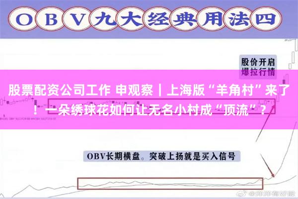 股票配资公司工作 申观察｜上海版“羊角村”来了！一朵绣球花如何让无名小村成“顶流”？