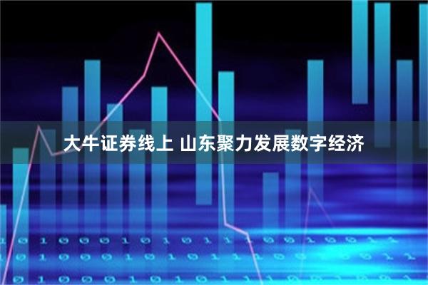 大牛证券线上 山东聚力发展数字经济