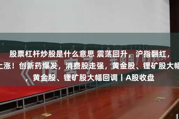 股票杠杆炒股是什么意思 震荡回升，沪指翻红，超4200只个股上涨！创新药爆发，消费股走强，黄金股、锂矿股大幅回调丨A股收盘