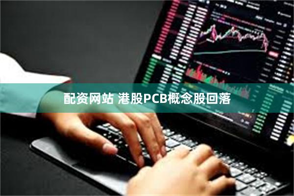 配资网站 港股PCB概念股回落