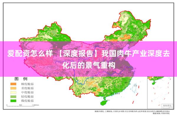 爱配资怎么样 【深度报告】我国肉牛产业深度去化后的景气重构