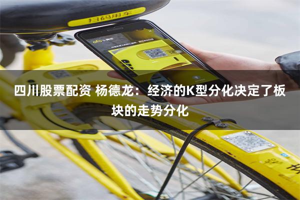 四川股票配资 杨德龙：经济的K型分化决定了板块的走势分化