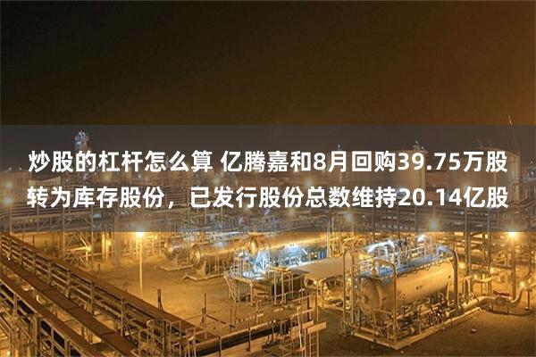炒股的杠杆怎么算 亿腾嘉和8月回购39.75万股转为库存股份，已发行股份总数维持20.14亿股