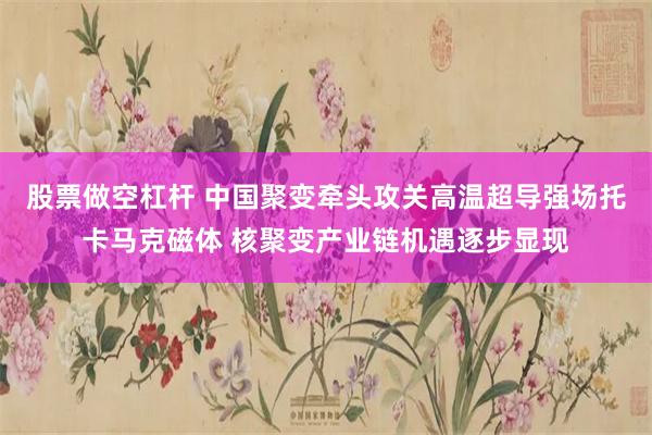 股票做空杠杆 中国聚变牵头攻关高温超导强场托卡马克磁体 核聚变产业链机遇逐步显现